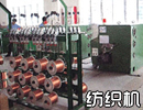 Linear module