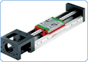 Linear module